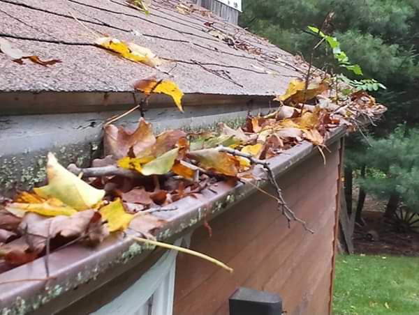 Central Ohio clogged gutters